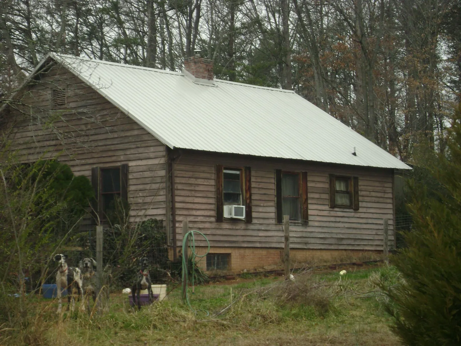 White metal roof on an old wood sided farmhouse, from a Asphalt Shingle Roof Repair job in Hamilton City